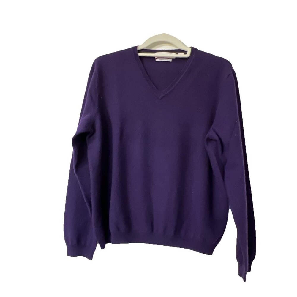 Calvin Klein Sweater Men’s L Purple Extra Fine Merino Wool V-Neck Pullover